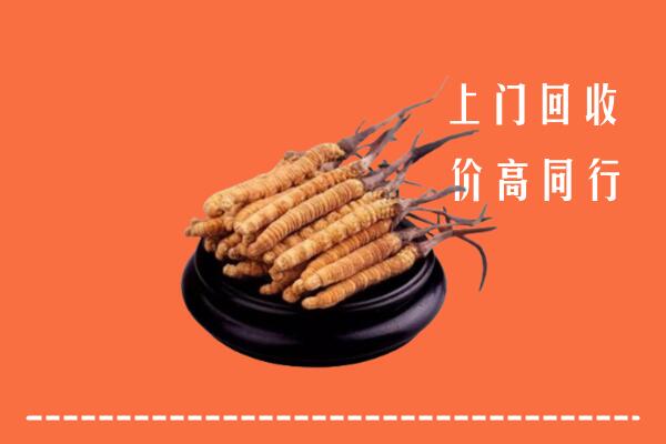 高价求购：无为市回收散虫草