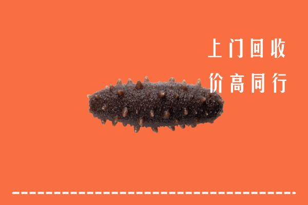 高价求购：无为市回收海参