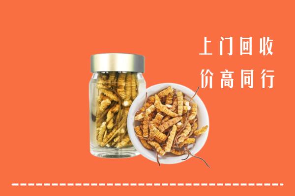 收购行情：无为市回收冬虫夏草