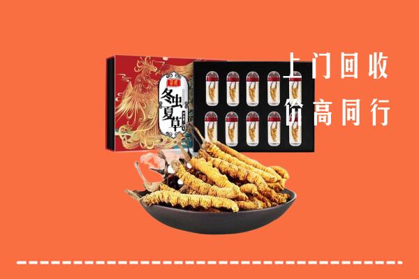 无为市高价回收虫草